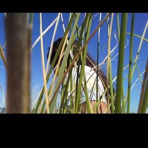 Meet your Posher, Carina